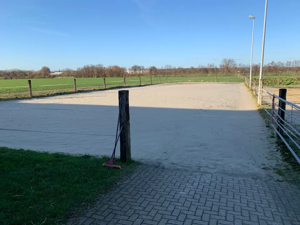 Dressurplatz